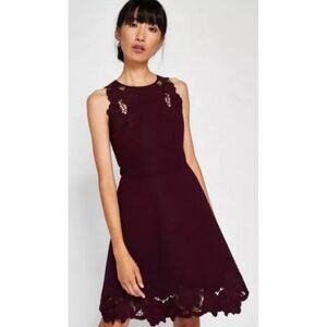 Size 6 Ted Baker "Emmonia" Dress